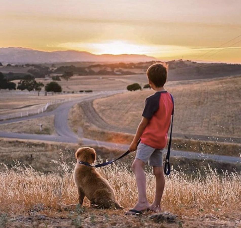 Windwood Ranch Paso Robles Villa Buitenkant foto